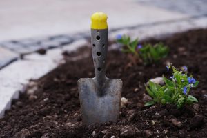 Hovenier in Amersfoort voor al uw tuinonderhoud 